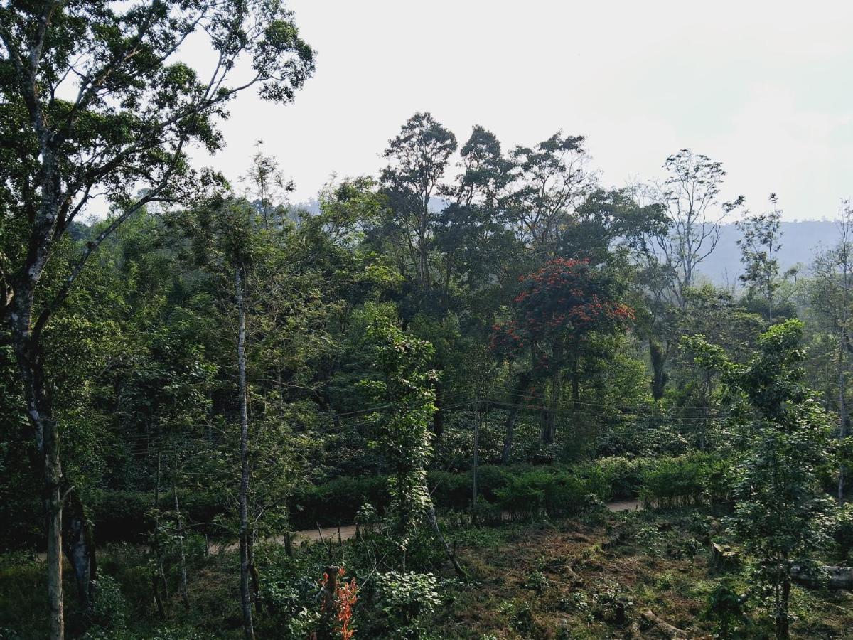 Coorg Teakwood Treasure Homestay Madikeri Exterior foto